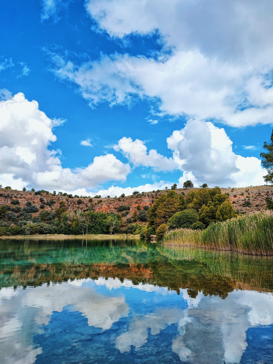Promover la sostenibilidad ambiental en Castilla-La Mancha: una responsabilidad colectiva